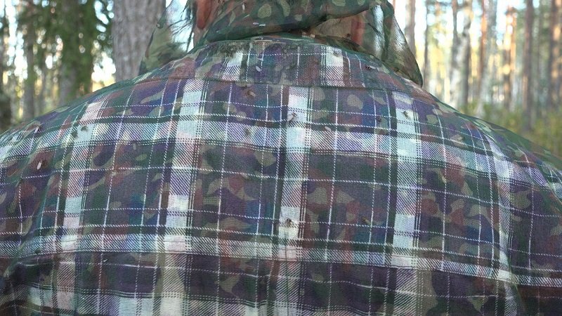 Оленьи кровососки заполонили леса Ленобласти - В лесах Ленинградской области из-за теплой осени появились оленьи кровососки. Чаще всего от них стра