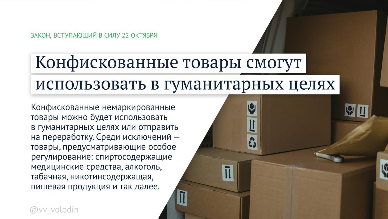 Стало известно, какие законы вступают в силу в октябре - В их числе - возможность самозанятых и представителей малого или среднего бизнеса (МСП) оформлять кр