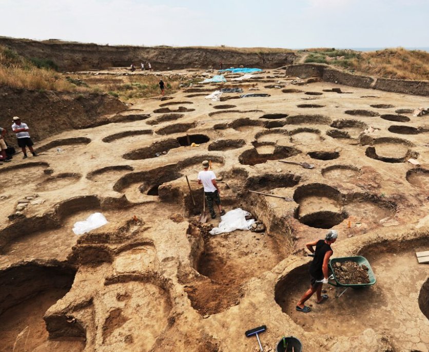 Укрепления времен каменного века нашли в Ленинградский области - Исторический артефакт раскопали на территории Кингисеппского района.