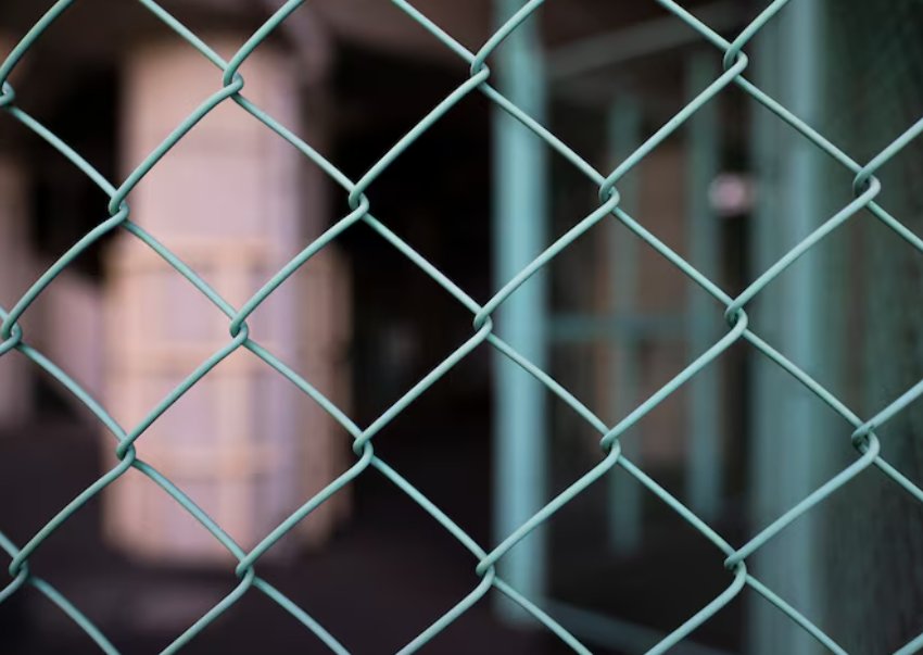 Двух избитых мигрантов и тело их друга нашли на границе Белоруссии и Латвии - Белорусские пограничники обнаружили двух иностранных граждан и тело их товарища на границе с Латвией