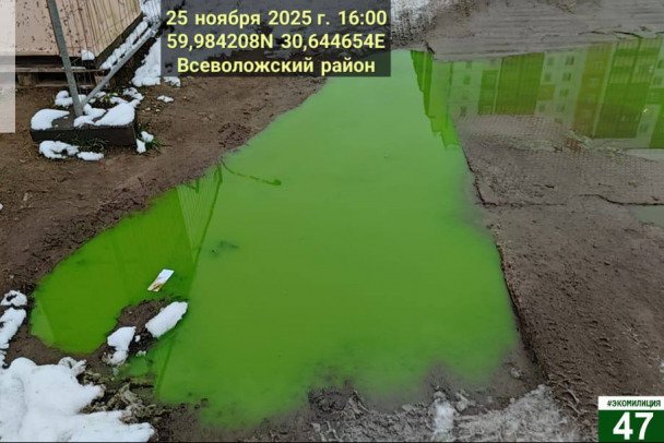 Пруд во Всеволожске окрасился в кислотно-зеленый цвет - Небольшой водоем на Севастопольской улице приобрел зловещий окрас. Всему виной могли стать пищевые к