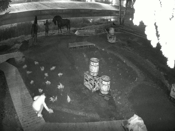 В Тихвине вандалы украли можжевельник и разрисовали новые стенды - Администрация просит вернуть украденное растение на место.