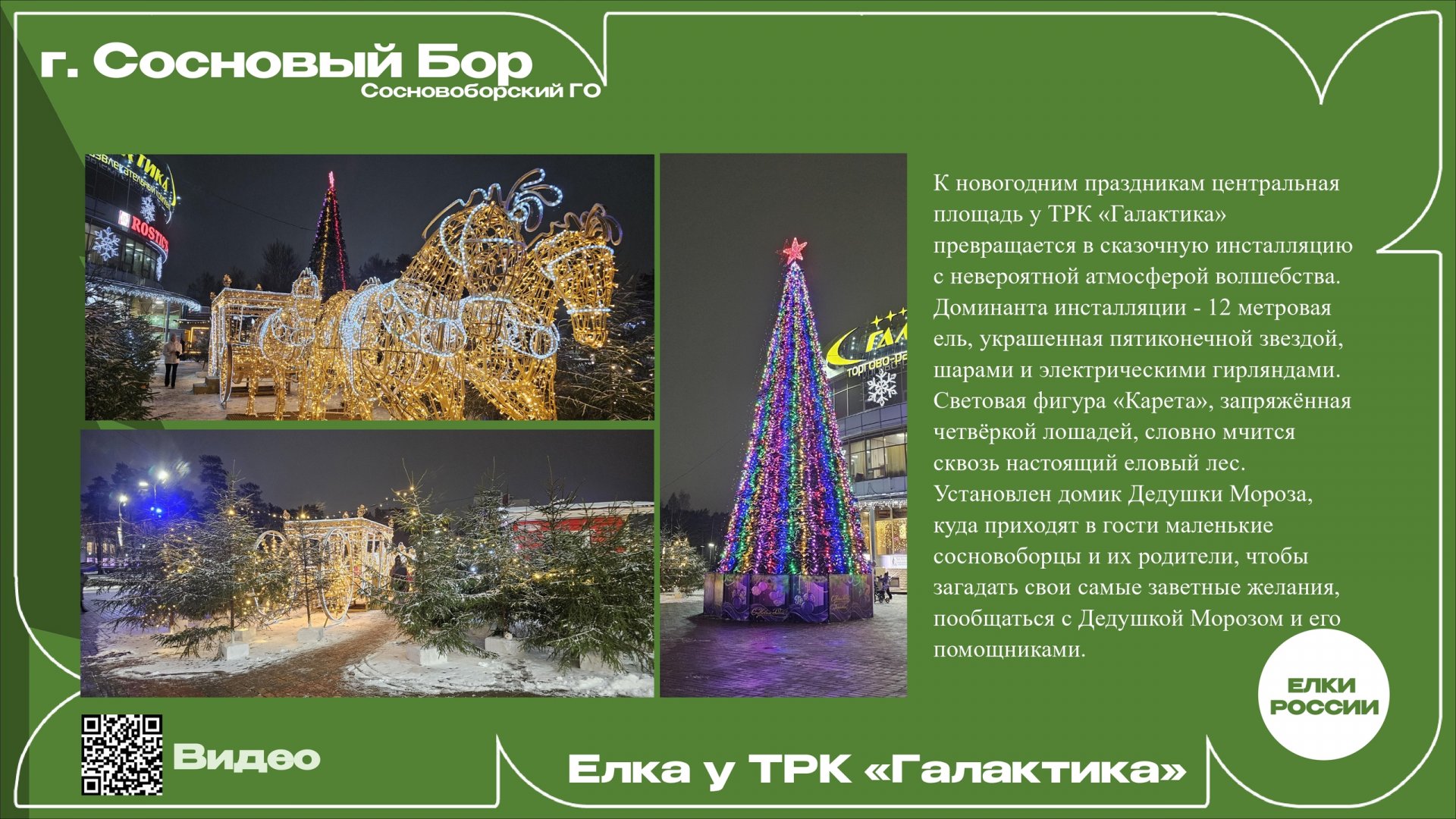 В Ленобласти выбирают самую красивую новогоднюю ель - Голосование продлится до 7 января включительно.