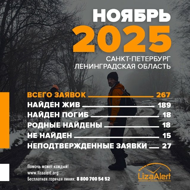 В ноябре в «Лиза Алерт» поступило 267 заявок о пропавших в Ленобласти и Петербурге - Несмотря на неуютную ноябрьскую погоду, волонтеры «Лиза Алерт» продолжают активную работу.
