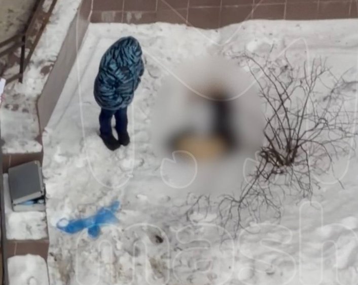 Тело человека без головы нашли под окнами высотки в Петербурге - О жуткой находке в полицию сообщили жители многоквартирного дома.