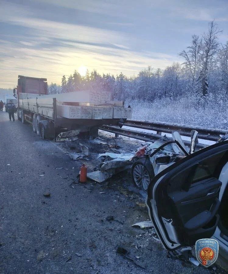 Иномарка врезалась в стоящий на обочине полуприцеп на М-11, два человека погибли - На месте происшествия погибли водитель и пассажир «БМВ», который врезался в заднюю часть полуприцепа
