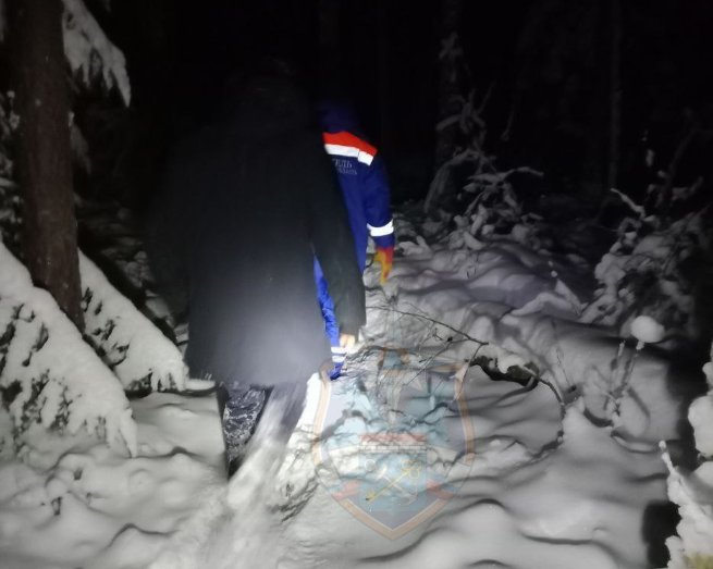 Потерявшегося в лесу мужчину искали в Кировском районе - Мужчина ушел в лес, но выбраться самостоятельно не смог.