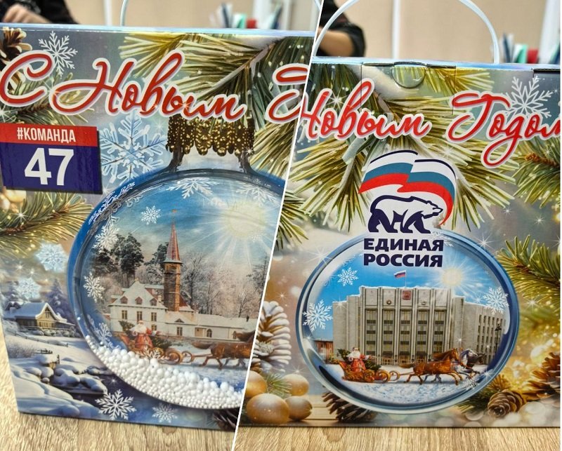 Светлана Журова порадовала подарками подопечных соцучреждений Выборга - Депутат Государственной Думы от партии «Единая Россия» Светлана Журова посетила социальные учреждени