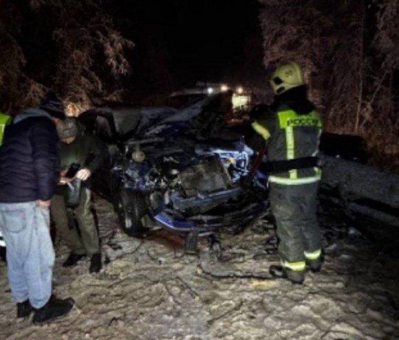 Два человека пострадали в ДТП из-за упавшего на дорогу дерева в Киришском районе - ЧП произошло на 11-м километре трассы Кириши-Смолино.