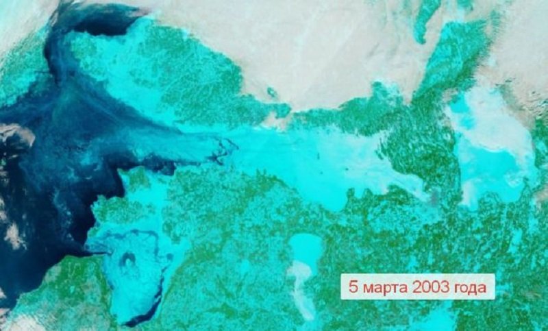 Финский залив может полностью замерзнуть впервые за 20 лет - Финский залив покрыт льдом на 80% и в ближайшее время может замерзнуть полностью из-за морозной пого