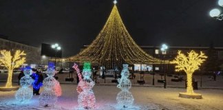 Муниципалитеты Ленобласти смогут получить ₽2,35 млн за лучшее новогоднее оформление