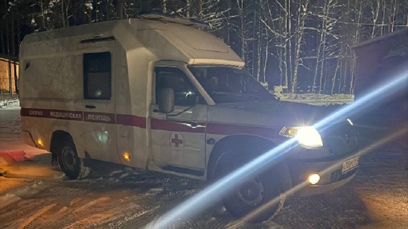 Пожарные помогли врачам скорой эвакуировать женщину с тяжелым открытым переломом в Ленобласти - В одном из садоводств Ленинградской области бригаде скорой помощи потребовалась помощь пожарных для