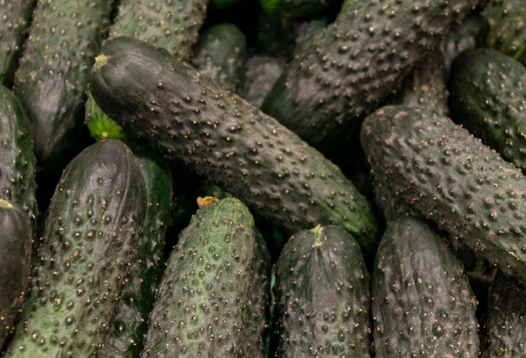 Цены на огурцы в России снизились впервые с осени - За неделю продукт подешевел почти на 4%.