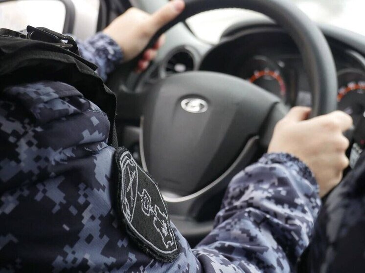 В Выборге сотрудники Росгвардии нашли пропавшего подростка за семь минут - Мальчик был в компании двух других подростков.