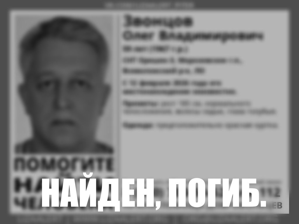 Во Всеволожском районе жителей и водителей просят помочь в поиске пропавшего мужчины - Поисковый отряд «Лиза Алерт» ведет активные поиски, но пока безрезультатно.