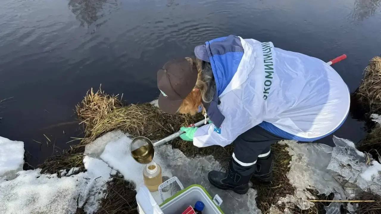 Госэконадзор Ленобласти взял пробы воды на реке Вьюн после сообщений о возможном разливе нефтепродуктов - Патрулирование береговой линии реки Вьюн во Всеволожском районе провели экомилиция совместно с ФСБ, 