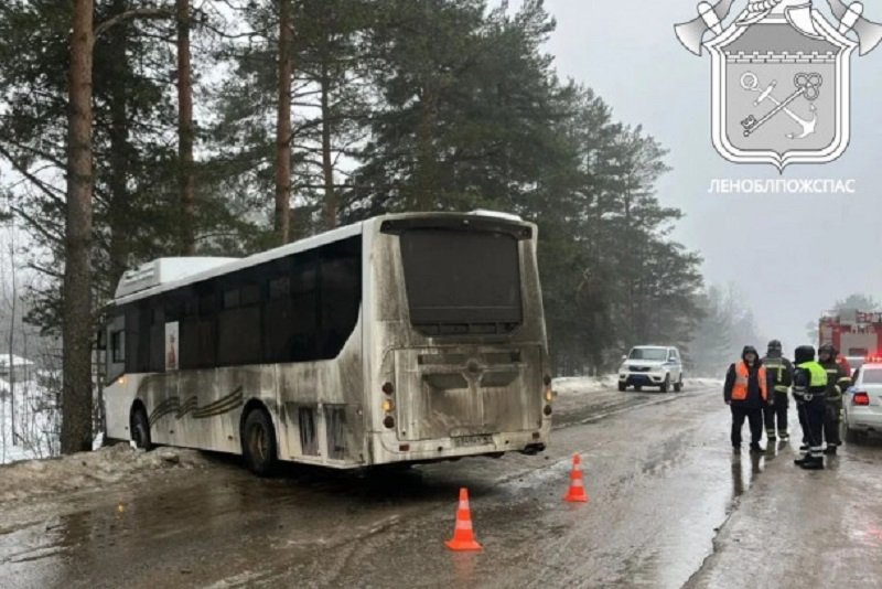 Кондуктор попал в больницу после маневра автобуса в Подпорожском районе - Кондуктор рейсового автобуса получил травмы в результате дорожной аварии на улице Осташкова в поселк