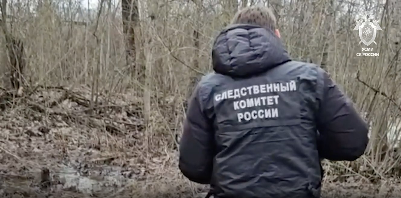 Инициатором убийства подростка в Пушкине могла быть его бывшая девушка - Следствие проверяет информацию о подстрекательстве и соучастии знакомой в преступлении.