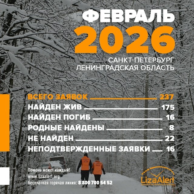 В феврале в «Лиза Алерт» поступило более 200 заявок о пропавших в Ленобласти и Петербурге - 175 пропавших удалось найти живыми.