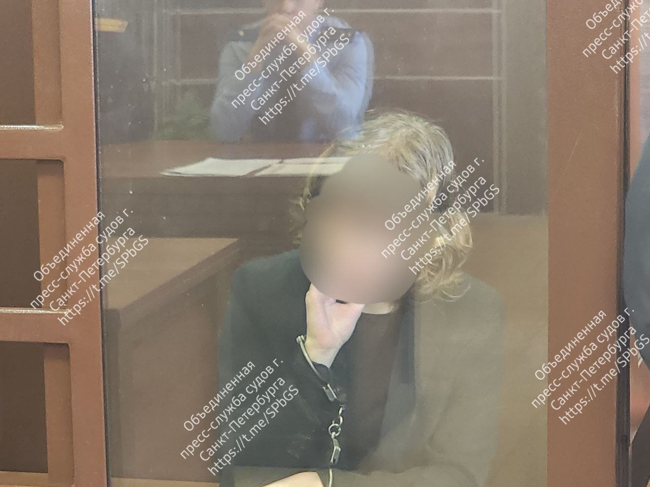 В Петербурге арестовали обвиняемую в подстрекательстве к убийству подростка - Следствие полагает, что именно девушка склонила 16-летнего подростка к совершению убийства 17-летнег