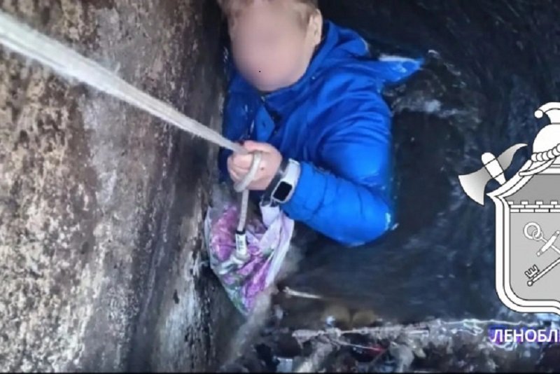 Пенсионерка провалилась в коллектор в Волховском районе - Женщина провалилась в канализационный коллектор на Северной улице в Сясьстрое Волховского района Лен