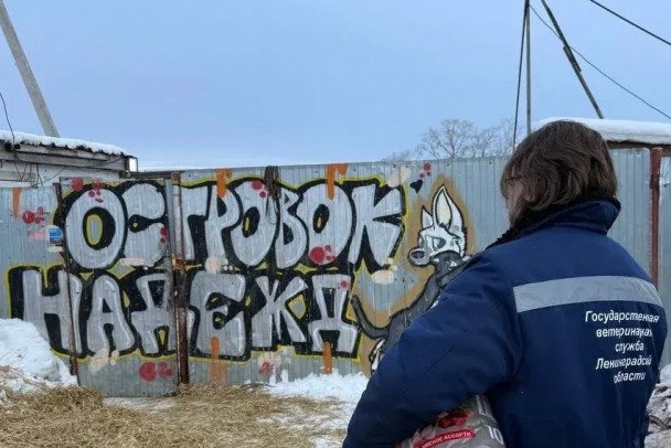 После гибели животных в приюте «Островок надежды» в Ленобласти возбуждено уголовное дело - Дело возбуждено по указанию прокуратуры региона.