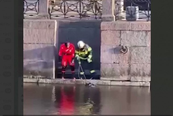 В Петербурге из реки Мойка достали тело мужчины - По предварительной информации, найдено тело пропавшего в новогоднюю ночь 37-летнего архитектора.