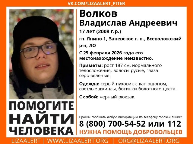После пропажи подростка в Янино возбудили уголовное дело об убийстве - По данным следствия, 25 февраля 2026 года подросток ушел из дома в поселке Янио-1 Всеволожского райо
