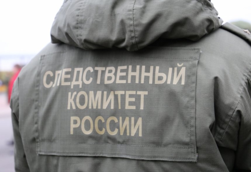 В Ленобласти арестовали имущество бизнесмена на ₽70 млн за неуплату налогов - Предприниматель предстанет перед судом за махинации с документами.