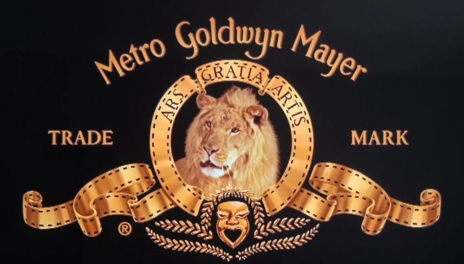 Легендарный Metro-Goldwyn-Mayer пытается оспорить бренд «Магнита» - Metro-Goldwyn-Mayer пытается через Роспатент аннулировать товарный знак, зарегистрированный на тепли
