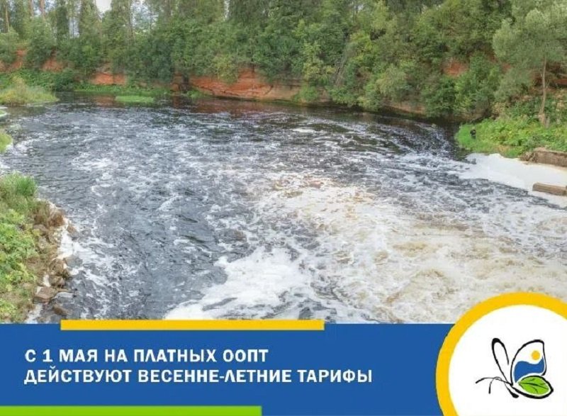 С 1 мая вводятся весенне-летние тарифы на посещение платных ООПТ в Ленобласти - Весенне-летние тарифы на посещение платных особо охраняемых природных территорий начнут действовать