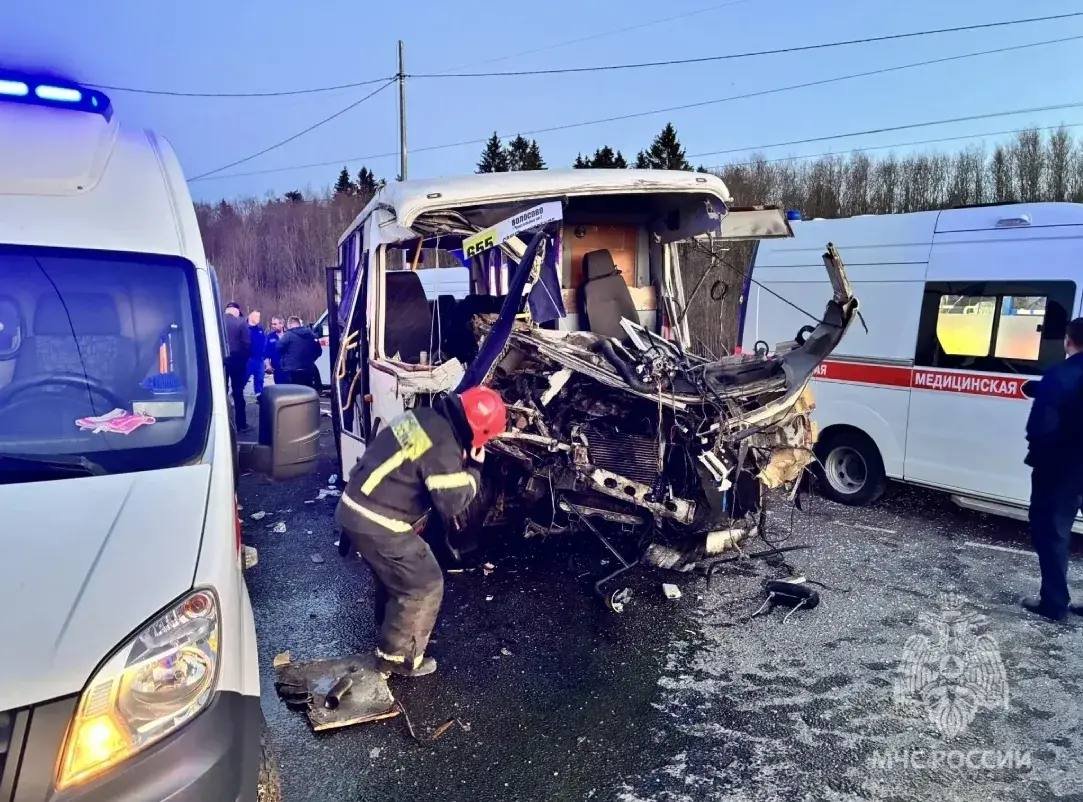 Число пострадавших в аварии между фурой и автобусом под Гатчиной выросло до 20 человек - Пять из них находятся в тяжелом состоянии, еще один пассажир скончался. Возбуждено уголовное дело.