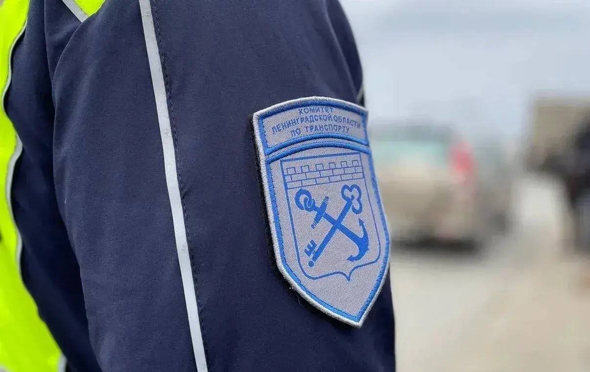В Ленобласти проверят перевозчиков после жалоб родителей на высадку детей - В комитете по транспорту региона фиксируют рост жалоб на недобросовестных перевозчиков, высаживающих