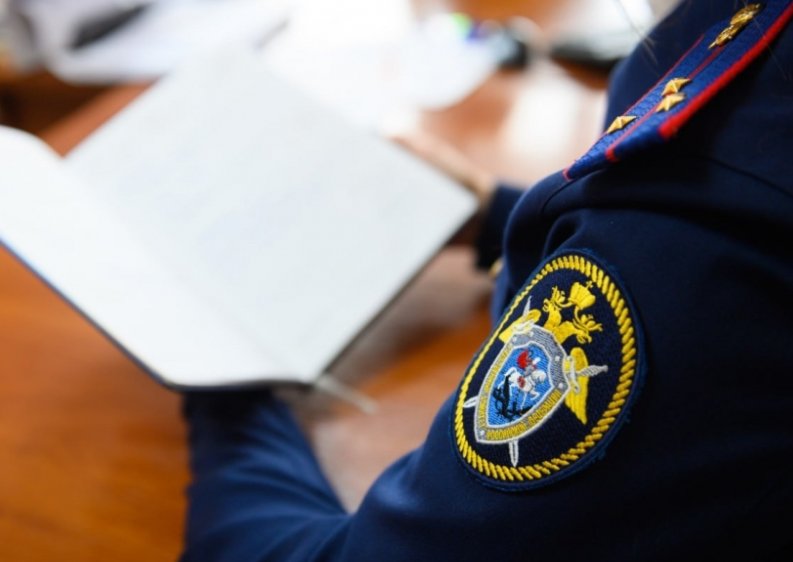 В Ленобласти предприниматель пойдет под суд за неуплату налогов на 82 млн рублей - Бизнесмен уже погасил долг перед государством, но от уголовной ответственности это его не спасет.