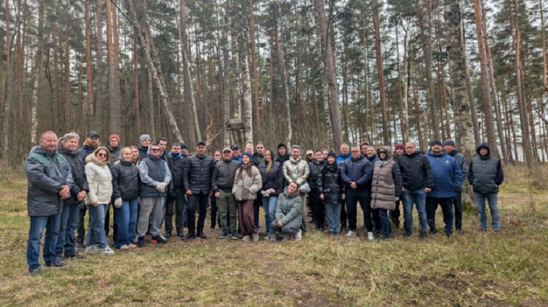 Пляж Липово в Сосновом Бору привели в порядок - В Кингисеппском районе привели в порядок пляж Липово и территорию возле памятного знака Защитникам О