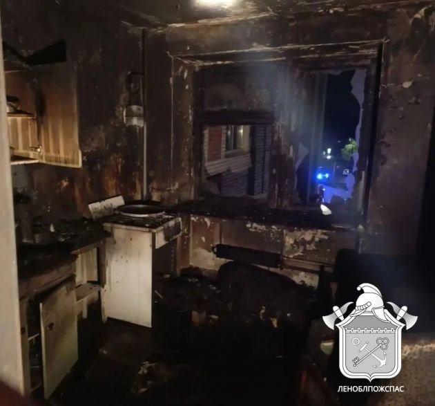 Пожарные вытащили мужчину из горящей квартиры в Сланцах - Пожарные также эвакуировали четверых жильцов дома.