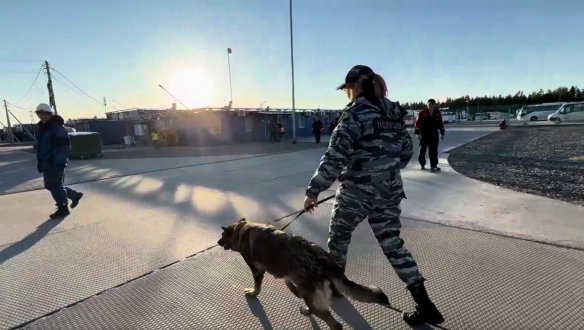 Полиция провела рейд в стройгородках Усть-Луги - Всего было проверено около тысячи иностранных граждан. 12 человек были доставлены в отдел полиции.