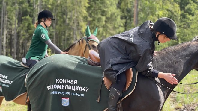 В Ленинградской области начала работать конная экомилиция - Конная экомилиция будет патрулировать леса и выявлять несанкционированные свалки в труднодоступных м