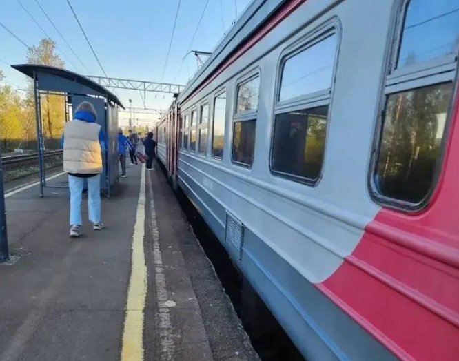 Прокуратура выясняет причины задержки электричек под Гатчиной 8 мая - Задержка поездов была зафиксирована накануне вечером на участке Семрино - Кобралово.