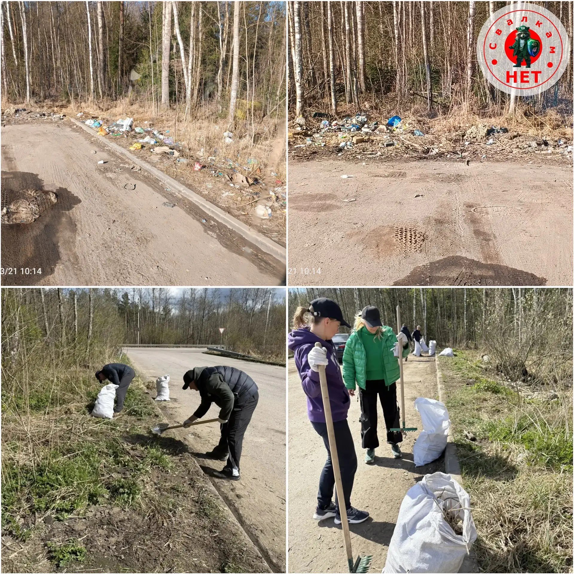 В Кингисеппе ликвидировали незаконную свалку после вмешательства Эконадзора - Ранее в городе обнаружили несанкционированную свалку отходов. После жалобы местного жителя ситуацию 