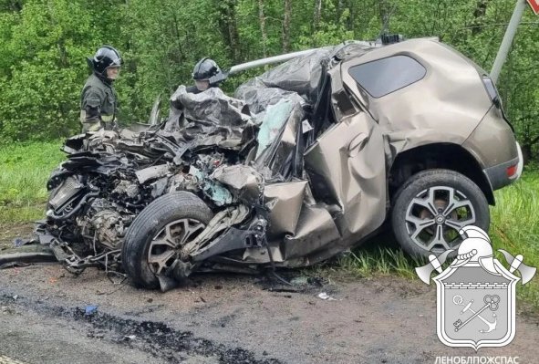 Три человека погибли в аварии под Пикалево: среди них один ребенок - Трагедия произошла на трассе А-114 в Бокситогорском районе.
