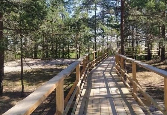 Поврежденную огнем экотропу в заказнике "Кургальский" восстановят на этой неделе - Все работы будут завершены до выходных.