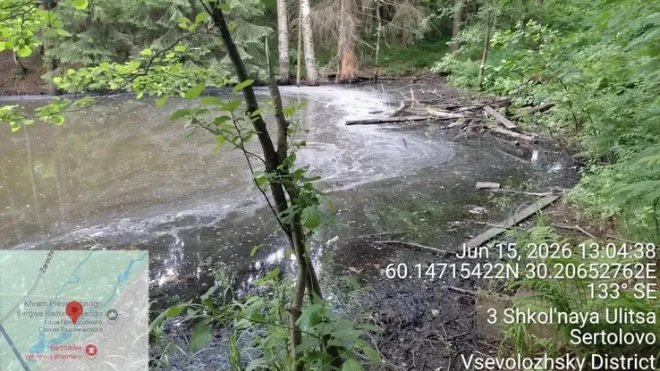 Эконадзор не обнаружил загрязнения в Сертоловском ручье - Ранее местные жители заподозрили, что в водоем сбрасывают техногенные отходы.