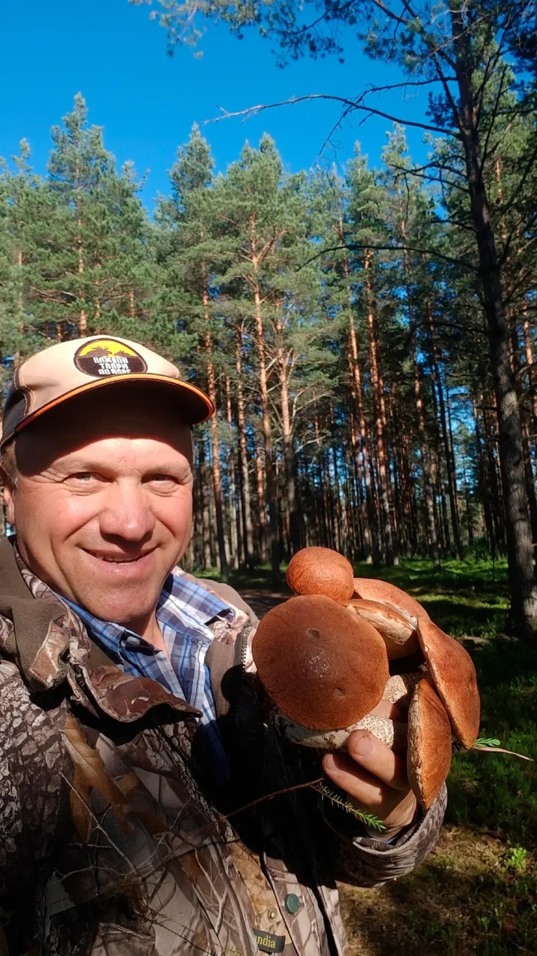 В Ленобласти начался сезон подосиновиков - В лесу пока суховато, поэтому биолог рекомендует проверять увлажненные места, в том числе вдоль боло