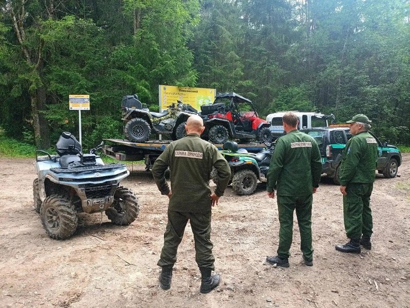 Багги, два квадроцикла и два мотоцикла изъяли у нарушителей в парке «Токсовский» - В Ленинградской области за неделю составили 47 протоколов за нарушение правил поведения на особо охр