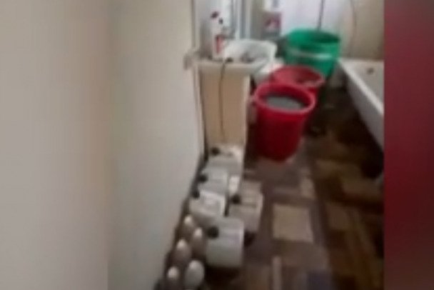 Во Всеволожске обнаружена наркоплантация - Общий вес изъятых растений превышает 3 кг.
