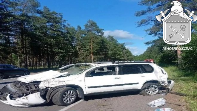Водитель погиб, съехав в кювет в Приозерском районе - Водитель легкового автомобиля не справился с управлением и съехал в кювет. Он погиб.