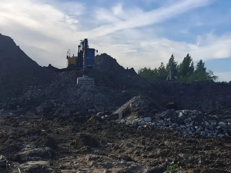 В Ломоносовском районе разогнали нелегальных перевозчиков отходов - Инспекторы Эконадзора совместно с полицией пресекли ввоз отходов на несанкционированную свалку.