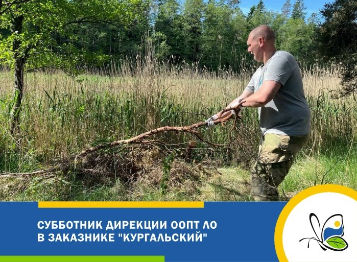 В заказнике «Кургальский» прошел субботник - В Дирекции ООПТ напоминают, что оставление мусора в заказниках нарушает режим особой охраны и может 