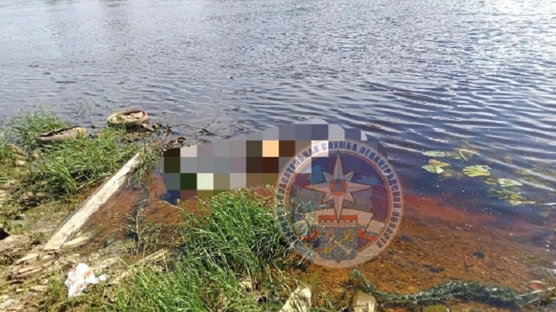 Мужчина утонул в реке Волхов - Очевидец заметил погибшего в воде и сообщил об этом в Аварийно-спасательную службу Ленинградской обл